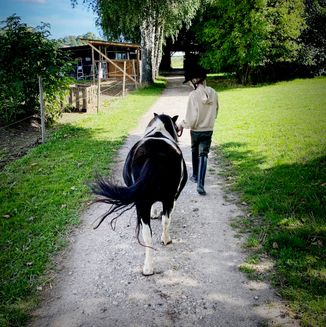 hesteassisteret terapi
